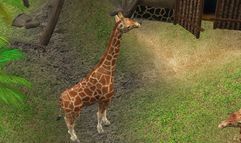 Wildlife Park 2 screenshot 10