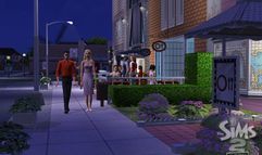 The Sims 2: Open for Business screenshot 8