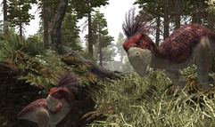 Gothic 3 screenshot 3