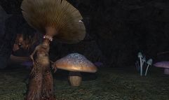 EverQuest II: Echoes of Faydwer screenshot 2