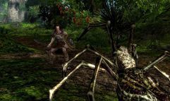 Age of Conan: Hyborian Adventures screenshot 8