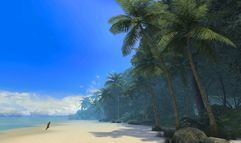 Pirates of the Burning Sea screenshot 1