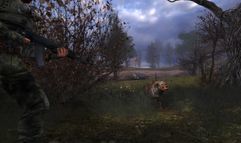 S.T.A.L.K.E.R.: Shadow of Chernobyl screenshot 4