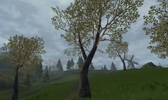 Age of Mourning screenshot 27