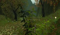 Thrones of Chaos screenshot 11