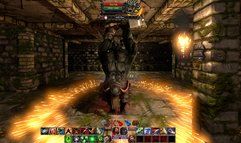 The Fall of the Dungeon Guardians screenshot 7