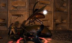 Vanguard: Saga of Heroes screenshot 5