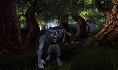 Dungeons & Dragons Online: Menace of the Underdark screenshot 7
