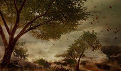 Far Cry 2 screenshot 4