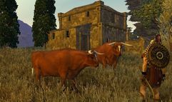 Age of Conan: Hyborian Adventures screenshot 8