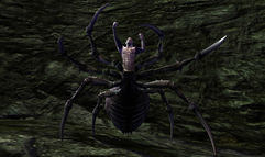 Dungeons & Dragons Online: Menace of the Underdark screenshot 4