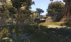 Divinity 2: Ego Draconis screenshot 5