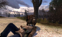 S.T.A.L.K.E.R.: Shadow of Chernobyl screenshot 1