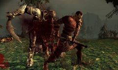 Dragon Age: Origins screenshot 10