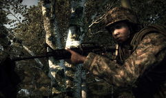 Operation Flashpoint 2: Dragon Rising screenshot 2