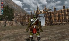 Knight Online screenshot 17