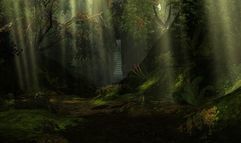 Age of Conan: Hyborian Adventures screenshot 12