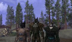 Vanguard: Saga of Heroes screenshot 1