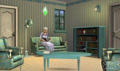 The Sims 3 screenshot 18