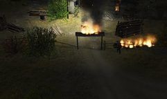 Soldiers: Heroes of World War II screenshot 2