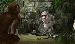 Return to Mysterious Island 2 screenshot 9