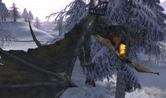 Lineage II: The Chaotic Chronicle screenshot 1
