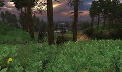 S.T.A.L.K.E.R.: Shadow of Chernobyl screenshot 48