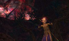 Vanguard: Saga of Heroes screenshot 11