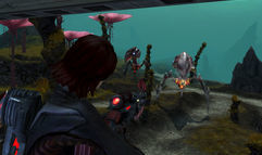 Tabula Rasa screenshot 8