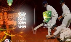 Cricket 07 screenshot 5