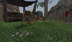 EverQuest II: Echoes of Faydwer screenshot 4