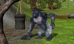 Wildlife Park 2 screenshot 4