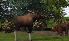 Wildlife Park 2 screenshot 9