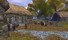 Vanguard: Saga of Heroes screenshot 2