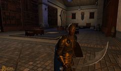 Vanguard: Saga of Heroes screenshot 8