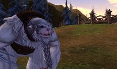 Lineage II: The Chaotic Chronicle screenshot 13