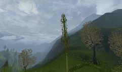 Age of Mourning screenshot 48