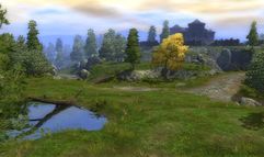 Neverwinter Nights 2 screenshot 9