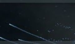 Contact Vector screenshot 3