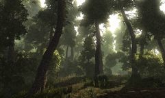 Risen screenshot 14
