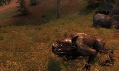 S.T.A.L.K.E.R.: Shadow of Chernobyl screenshot 6