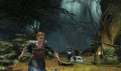 The Lord of the Rings: War in the North screenshot 5