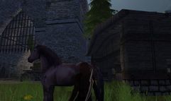 Thrones of Chaos screenshot 7