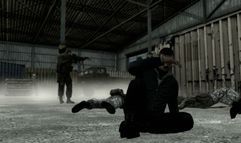 ArmA II screenshot 3