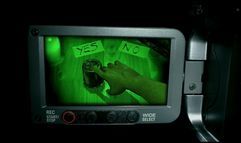 The Lost Crown: A Ghosthunting Adventure screenshot 2