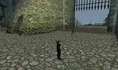 Age of Mourning screenshot 45