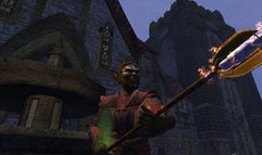 Vanguard: Saga of Heroes screenshot 13
