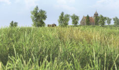 Men of War screenshot 3