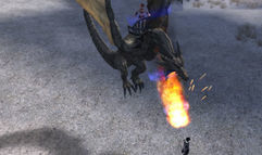 Lineage II: The Chaotic Chronicle screenshot 2