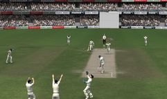 Cricket 07 screenshot 10